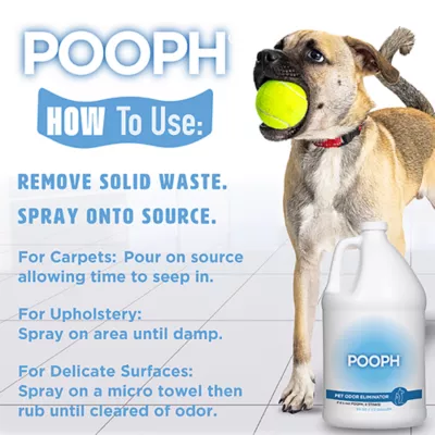 POOPH Cat & Dog Odor & Stain Eliminator - Versatile Spray - 64 FL OZ - Image 3