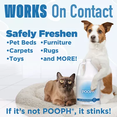 POOPH Cat & Dog Odor & Stain Eliminator - Versatile Spray - 64 FL OZ - Image 4