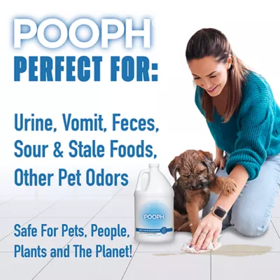 POOPH Cat & Dog Odor & Stain Eliminator - Versatile Spray - 64 FL OZ - Image 5