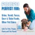POOPH Cat & Dog Odor & Stain Eliminator - Versatile Spray - 64 FL OZ image thumbnail 5