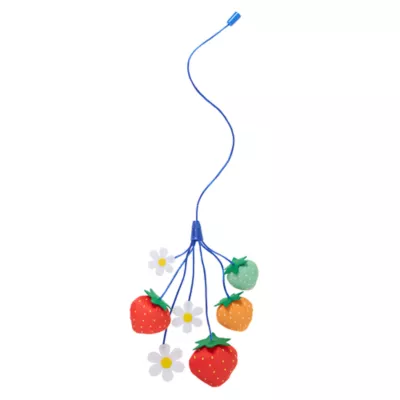 Whisker City® Strawberry Teaser Attachment - Image 1
