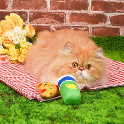 Product Hugsmart Cat Toys - Meow Buddies Pizza & Soda