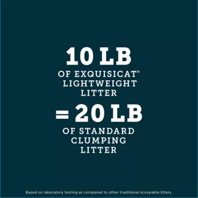 ExquisiCat Lightweight Multi-Cat Climping Clay Premium Cat Litter - Unscented, Low Dust - Image 3