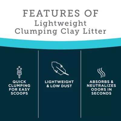 ExquisiCat Lightweight Multi-Cat Climping Clay Premium Cat Litter - Unscented, Low Dust - Image 4
