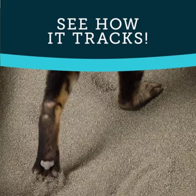 ExquisiCat Lightweight Multi-Cat Climping Clay Premium Cat Litter - Unscented, Low Dust - Image 5