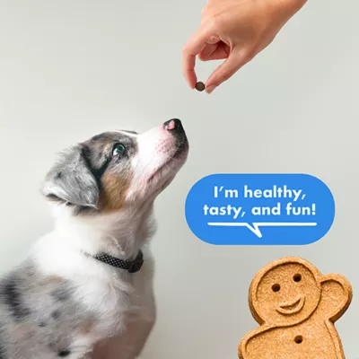 Buddy Biscuit All Life Stages Dog Soft & Chewy Dog Training Treats - 10 oz - Image 3