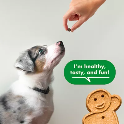 Buddy Biscuit All Life Stages Dog Soft & Chewy Dog Training Treats - 10 oz - Image 3