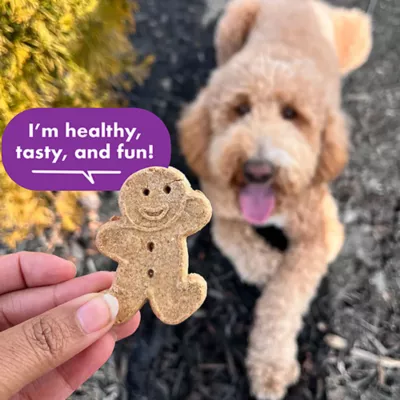 Product Buddy Biscuits All Life Stages Dog Biscuits - Assorted Flavors with Chicken, Beef, and Cheddar 16 oz