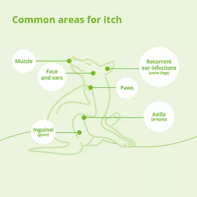 Dechra, Atopivet Dog & Cat Skin Care Collar - Image 4