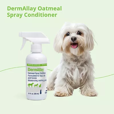 Dechra, DermAllay Oatmeal Spray Conditioner for Dogs, Cats & Horses - Image 4