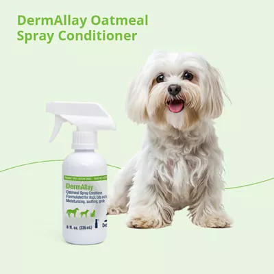 Product Dechra, DermAllay Oatmeal Spray Conditioner for Dogs, Cats & Horses