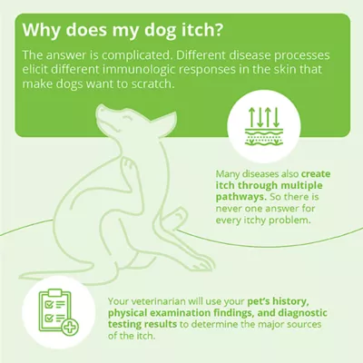 Product Dechra, DermAllay Oatmeal Spray Conditioner for Dogs, Cats & Horses