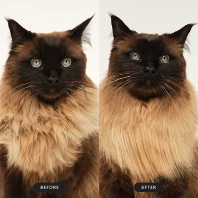 Pet Teezer Cat Grooming Brush - Short- Medium Fur - Pink - Image 6