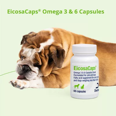 Dechra EicosaCaps Omega 3 & 6 Capsules - Image 4