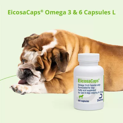 Product Dechra EicosaCaps Omega 3 & 6 Capsules