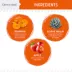 Chew + Heal Dog Crunchy Treats with Pumpkin & Prebiotics, Made in USA, 5 oz, 12 oz image thumbnail 2