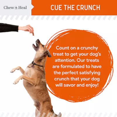 Chew + Heal Dog Crunchy Treats with Pumpkin & Prebiotics, Made in USA, 5 oz, 12 oz - Image 4