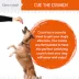 Chew + Heal Dog Crunchy Treats with Pumpkin & Prebiotics, Made in USA, 5 oz, 12 oz image thumbnail 4