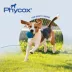 Dechra, Phycox Small Bites Advanced Joint Health Supplement for Dogs, 120 Count image thumbnail 5