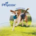Dechra, Phycox Canine Joint Support Soft Chews image thumbnail 5
