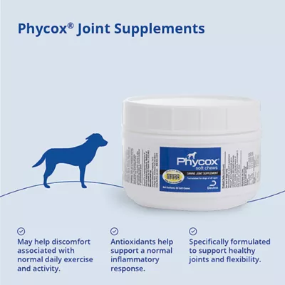 Product Dechra, Phycox Canine Joint Support Soft Chews