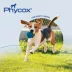 Dechra Phycox Dog Hip & Joint Support Supplement with MSM, Soft Chews, 60 or 120 Count image thumbnail 5