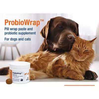 Product Dechra, ProbioWrap Pill Wrap Paste with Probiotics for Dogs and Cats, 4.2 oz