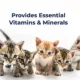 Product PetAg PetLac Liquid for Kittens, 32 oz