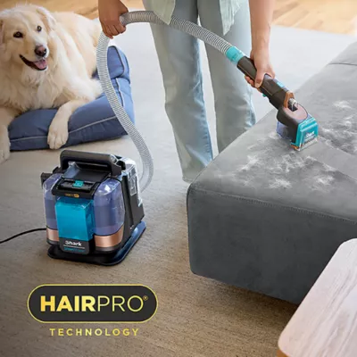 Product Shark PX251C Stain Striker HairPro Pet Portable Deep Clean Carpet Stain & Odour Extractor