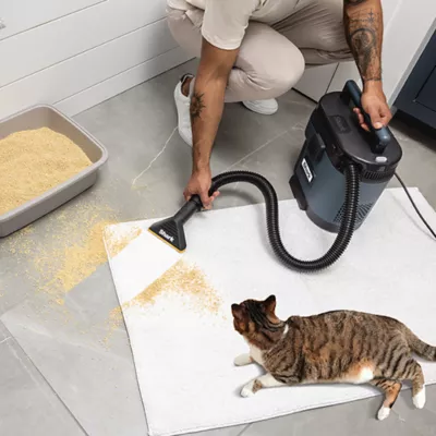 Product Shark VS101C MessMaster Wet/Dry Vacuum, Powerful Self-Cleaning Suction for Fish Tanks & Wet Debris