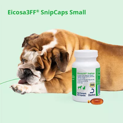 Dechra, Eicosa3FF SnipCaps for Dogs, Skin Health Support - Image 4