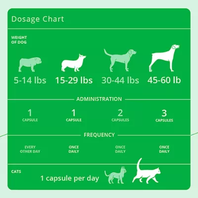 Product Dechra, Eicosa3FF SnipCaps for Dogs, Skin Health Support