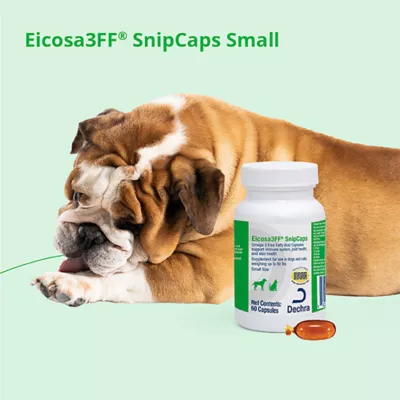 Product Dechra, Eicosa3FF SnipCaps for Dogs, Skin Health Support