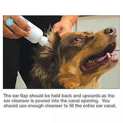 Dechra, Mal-A-Ket® Plus TrizEDTA® Flush, Ear Cleanser for Dogs & Cats - Image 6
