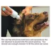 Dechra, Mal-A-Ket® Plus TrizEDTA® Flush, Ear Cleanser for Dogs & Cats image thumbnail 6