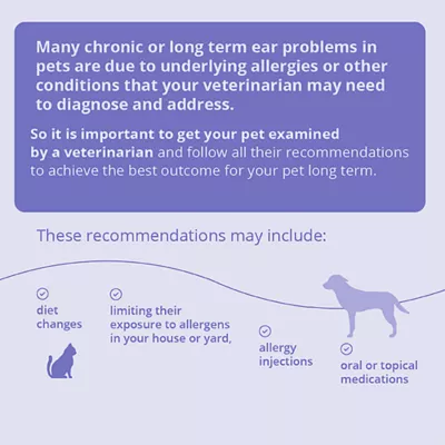 Product Dechra, Mal-A-Ket® Plus TrizEDTA® Flush, Ear Cleanser for Dogs & Cats
