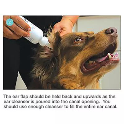 Product Dechra, Mal-A-Ket® Plus TrizEDTA® Flush, Ear Cleanser for Dogs & Cats
