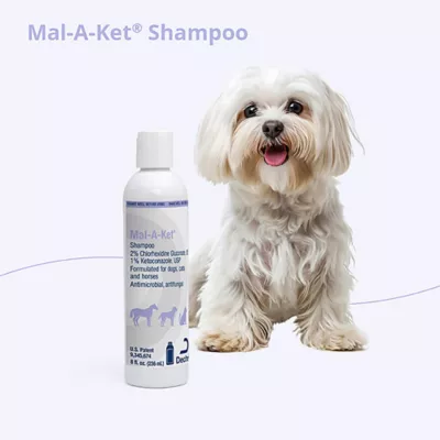 Product Dechra, Mal-A-Ket Skin Health Shampoo for Dogs, Cats & Horses, 8 Oz
