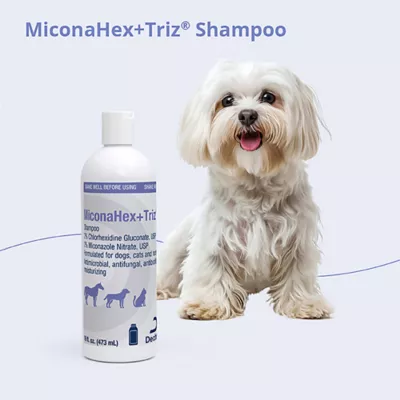 Dechra, MiconaHex+Triz Skin Health Shampoo for Dogs, Cats & Horses - Image 4
