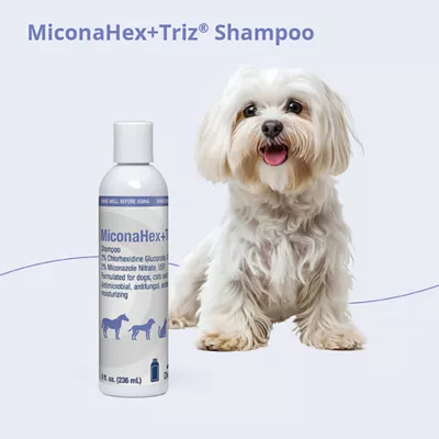 Product Dechra, MiconaHex+Triz Skin Health Shampoo for Dogs, Cats & Horses