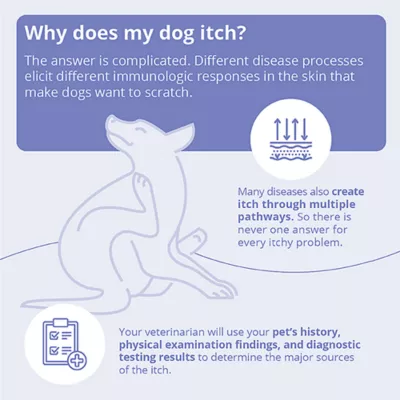 Product Dechra, MiconaHex + Triz Spray Conditioner for Dogs, Cats & Horses