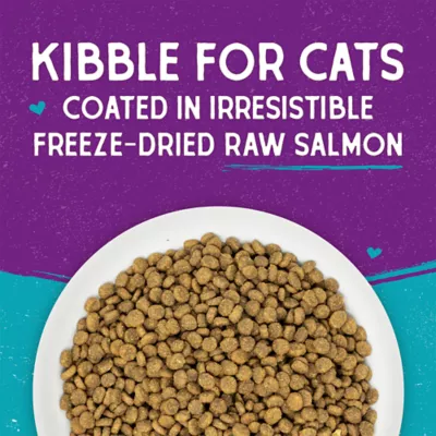 Stella & Chewy's Raw Coated Kibble Dry Cat Food - Grain Free, Salmon Recipe - Image 2