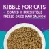 Stella & Chewy's Raw Coated Kibble Dry Cat Food - Grain Free, Salmon Recipe image thumbnail 2