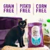 Stella & Chewy's Raw Coated Kibble Dry Cat Food - Grain Free, Salmon Recipe image thumbnail 6