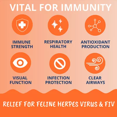 Product Under the Weather L-Lysube Soft Chews for Cats - Salmon, 60 chews