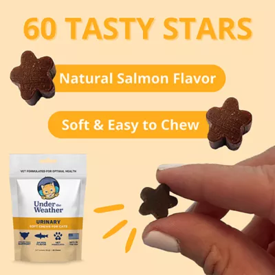 Product Under the Weather Urinary Soft Chews for Cats - Salmon, 60 chews