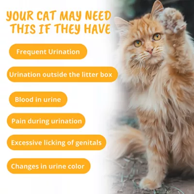 Product Under the Weather Urinary Soft Chews for Cats - Salmon, 60 chews