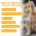 Under the Weather Urinary Soft Chews for Cats - Salmon, 60 chews image thumbnail 4