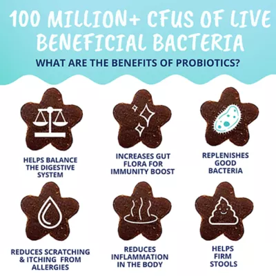 Product Under the Weather Probiotic Soft Chews for Cats - 60 Chews