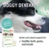 HomeoPet Doggy Dental Dog Supplement, 15 ml bottle image thumbnail 3